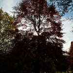 [2010] Autumn in Leuven