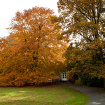 [2010] Autumn in Leuven