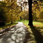 [2010] Autumn in Leuven