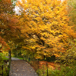 [2010] Autumn in Leuven