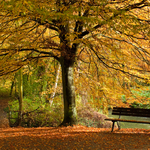 [2010] Autumn in Leuven