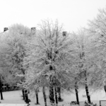 [2010] Winter in Belgium