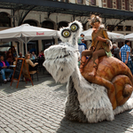 [2012] Leuven Langste Dag