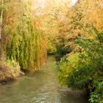 [2010] Autumn in Leuven