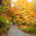 [2010] Autumn in Leuven