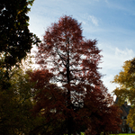 [2010] Autumn in Leuven