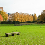 [2010] Autumn in Leuven