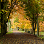 [2010] Autumn in Leuven