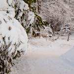 [2010] Winter in Belgium