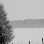 [2010] Winter in Belgium